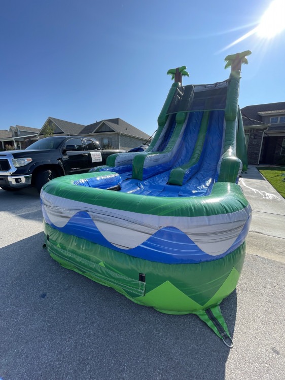 20’ Palm Paradise
